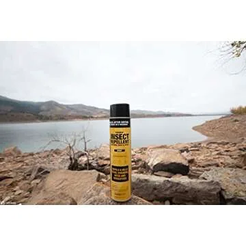 Sawyer Products SP618 Premium Permethrin Insect Repellent for Clothing, Gear & Tents, Aerosol Spray,...