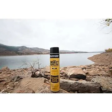 Sawyer Products SP618 Premium Permethrin Insect Repellent for Clothing, Gear & Tents, Aerosol Spray, 18-Ounce