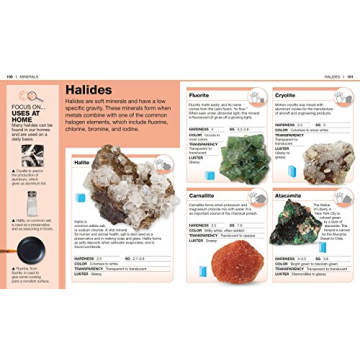Pocket Genius: Rocks and Minerals for Young Explorers