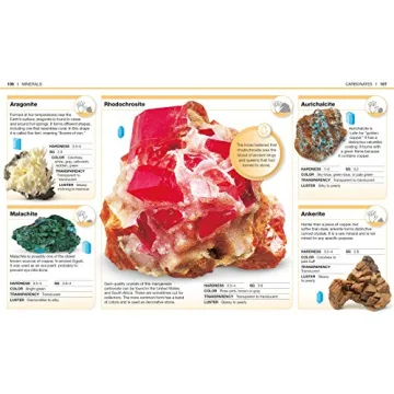 Pocket Genius: Rocks and Minerals for Young Explorers