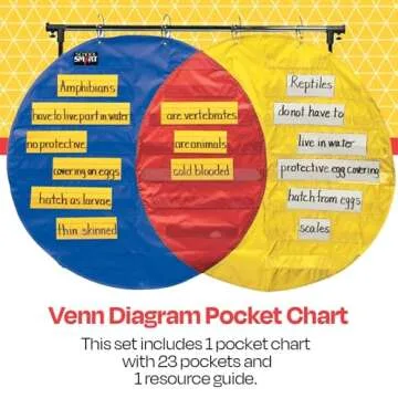 Vibrant School Smart Venn Diagram Pocket Chart for Learning