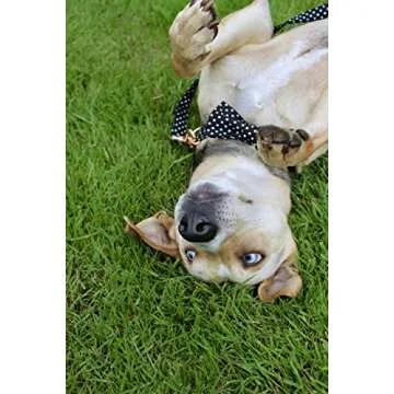 Unique Style Paws Pet Soft &Comfy Bowtie Dog Collar and Cat Collar Pet Gift for Dogs and Cats 6 Size and 7 Patterns