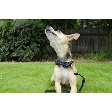 Unique Style Paws Pet Soft &Comfy Bowtie Dog Collar and Cat Collar Pet Gift for Dogs and Cats 6 Size and 7 Patterns