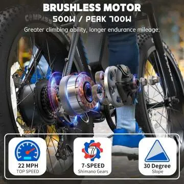 Powerful 500-700W Electric Bike for Adults