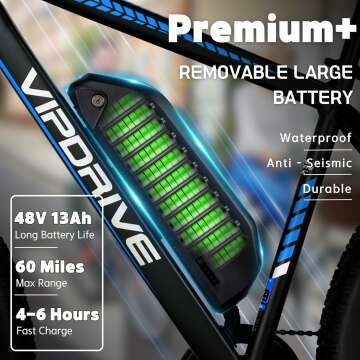 Powerful 500-700W Electric Bike for Adults