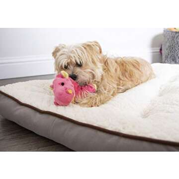 goDog Bubble Plush Dragons Squeaky Dog Toy, Chew Guard Technology - Coral, Small