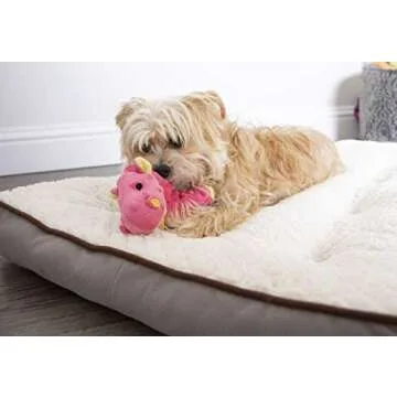 goDog Bubble Plush Dragons Squeaky Dog Toy, Chew Guard Technology - Coral, Small