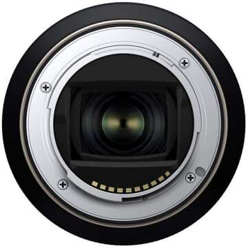 Tamron 28-200 F/2.8-5.6 Di III RXD for Sony Mirrorless Full Frame/APS-C E-Mount, Model Number: AFA071S700, Black