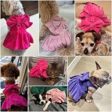 Chic Dog Striped Dress With Harness And Leash Set