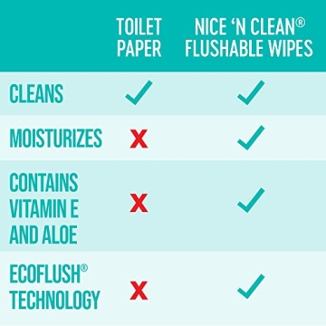 Nice 'n Clean Adult Flushable Wipes – Gentle & Eco-Friendly