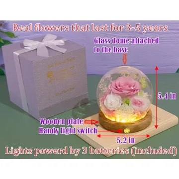 Beautiful Valley of Rain & Forest Long-Lasting Flowers