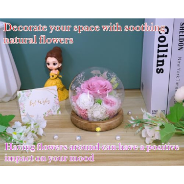 Beautiful Valley of Rain & Forest Long-Lasting Flowers