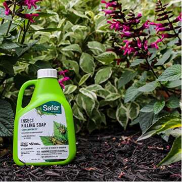 Safer 5118-6 Insect Killing Soap Concentrate - Insecticidal Soap for Plants - Kills Aphids, Whiteflies, Thrips, Spider Mites, and More - OMRI Listed for Organic Use