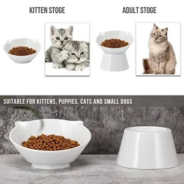 Adjustable Elevated Cat Bowls for Comfort & Health