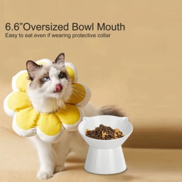 Adjustable Elevated Cat Bowls for Comfort & Health