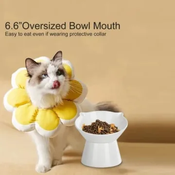 Adjustable Elevated Cat Bowls for Comfort & Health