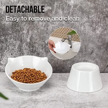 Adjustable Elevated Cat Bowls for Comfort & Health