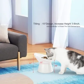 Adjustable Elevated Cat Bowls for Comfort & Health
