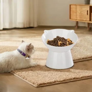 Adjustable Elevated Cat Bowls for Comfort & Health