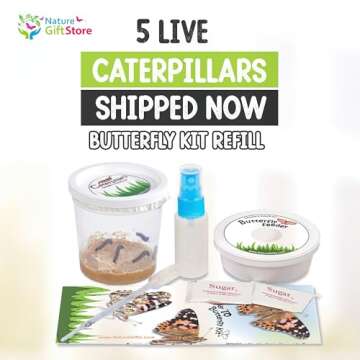 Nature Gift Store Butterfly Kit Refill - 5 Live Caterpillars with Supplies