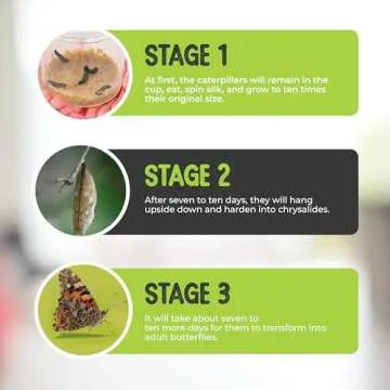 Nature Gift Store Butterfly Kit - 5 Live Caterpillars