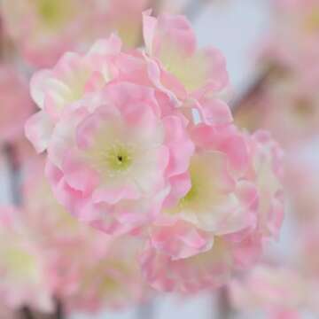 Nafresh Tall Artificial Cherry Blossom Tree 5Ft(60”), Realistic Potted Silk Faux Cherry Blossom Tr...