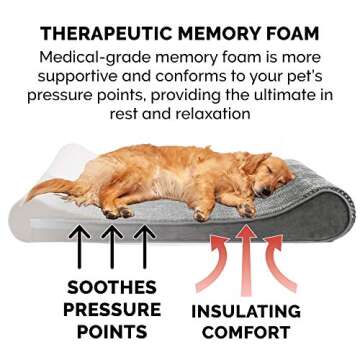 Furhaven Memory Foam Dog Bed for Medium/Small Dogs w/ Removable Washable Cover, For Dogs Up to 23 lbs - Minky Plush & Velvet Luxe Lounger Contour Mattress - Gray, Medium