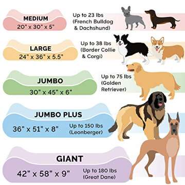 Furhaven Memory Foam Dog Bed for Medium/Small Dogs w/ Removable Washable Cover, For Dogs Up to 23 lbs - Minky Plush & Velvet Luxe Lounger Contour Mattress - Gray, Medium