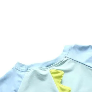 Dinosaur Boys Swimsuit Set UPF 50 for Sun Protection