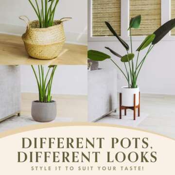 FOREVER LEAF 6 Feet Bird of Paradise Artificial Plants Indoor in Black Planter, Realistic Banana Shaped Leaves, Silk Plants for Home Decor, Perfect Faux Floor Plants for Living Room