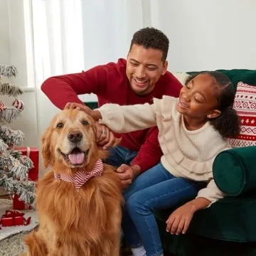 Milk-Bone Holiday Dog Treats Advent Calendar for Dogs
