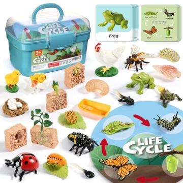 Aprilwolf Life Cycle Kit Toy Montessori - Hands-on Learning 25 Piece Set for Kids 3+
