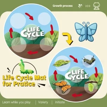 Aprilwolf Life Cycle Kit Montessori for Kids 3+ Educational Play