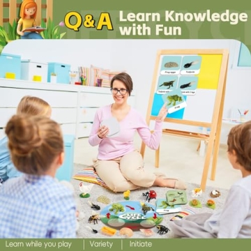 Aprilwolf Life Cycle Kit Montessori for Kids 3+ Educational Play