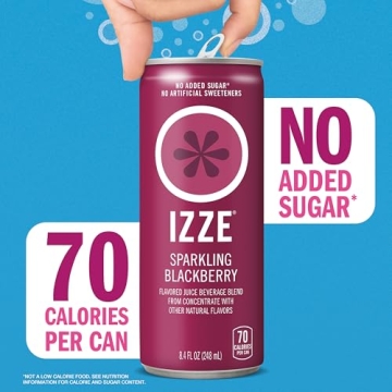 IZZE Blackberry Juice 8.4 oz, No Sugar Added, 24 Count