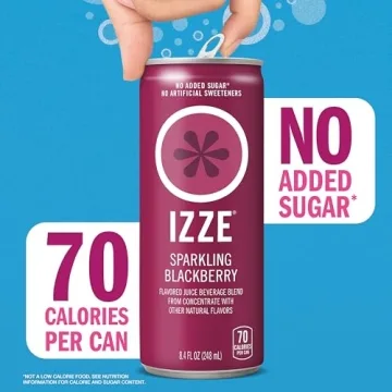 IZZE Blackberry Juice 8.4 oz, No Sugar Added, 24 Count