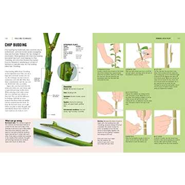 Plant Propagation Techniques for Every Gardener