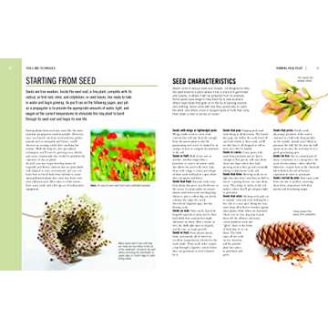 Plant Propagation Techniques for Every Gardener