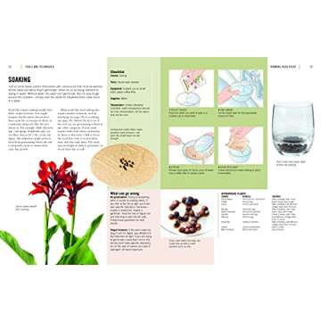 Plant Propagation Techniques for Every Gardener