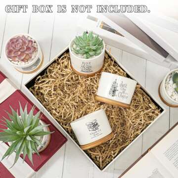 Havawish Book Lover Succulent Pots - Perfect Gift Set