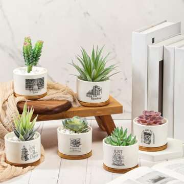 Havawish Book Lover Succulent Pots - Perfect Gift Set