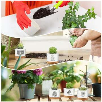 Havawish Book Lover Succulent Pots - Perfect Gift Set