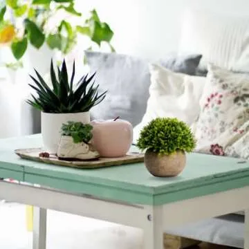 Velener Artificial Boxwood Faux Plant for Indoor Decor