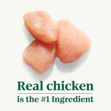 NUTRO Mini Bites Dog Treats Roasted Chicken Flavor, 8 oz. Bag