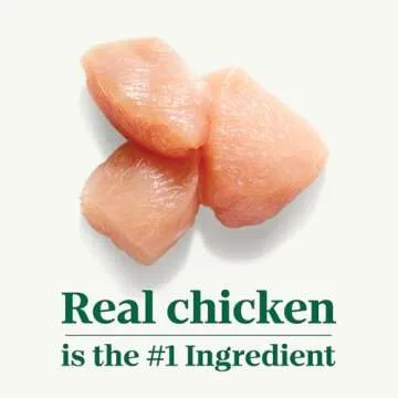 NUTRO Mini Bites Dog Treats Roasted Chicken Flavor, 8 oz. Bag