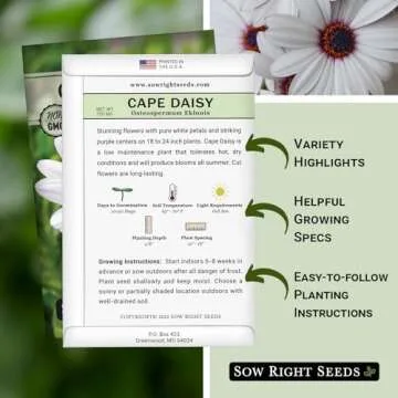Sow Right Seeds - Cape Daisy Flower Seeds for Planting - Non-GMO Heirloom Packet with Instructions t...