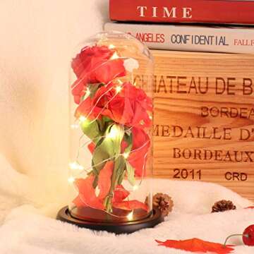 Beauty and The Beast Rose LED Light Gift for Love