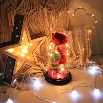 Beauty and The Beast Rose LED Light Gift for Love