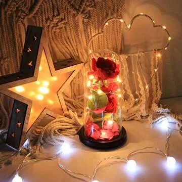 Beauty and The Beast Rose LED Light Gift for Love