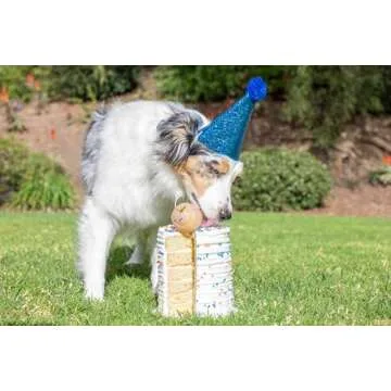 Chuckit! Birthday Fetch Ball for Dogs - Medium Size, Fun Play